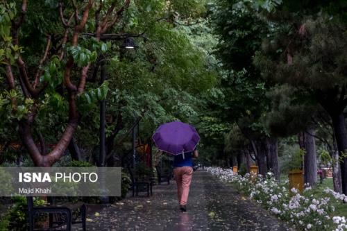 کاهش 15 درصدی نزولات آسمانی امسال زراعی