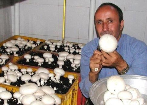 10 برابر شدن صدور مجوزهای مشاغل خانگی