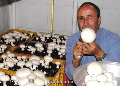 10 برابر شدن صدور مجوزهای مشاغل خانگی