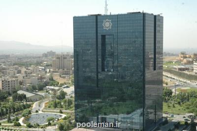 اختیارات و وظایف معاون تنظیم گری و نظارت بانک مرکزی