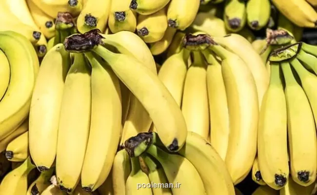 قیمت موز باید بسیار پایین تر باشد