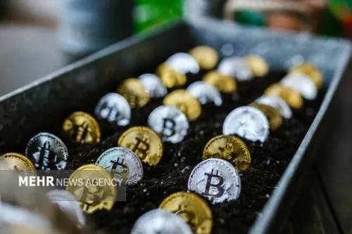 کمر بازار کریپتو شکست ریزش سنگین  بیتکوین در یک روز خونین