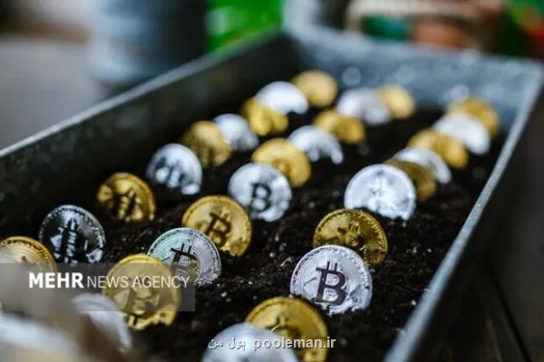 کمر بازار کریپتو شکست ریزش سنگین  بیتکوین در یک روز خونین