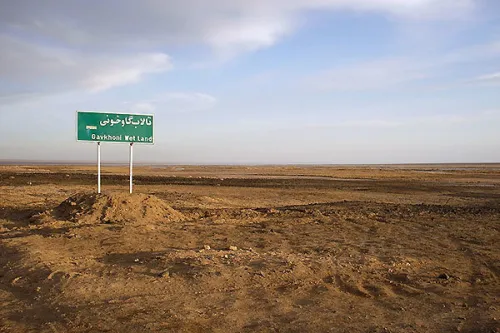 گاوخونی برای پایداری زیستی به ۸۰ میلیون مترمکعب آب نیاز دارد