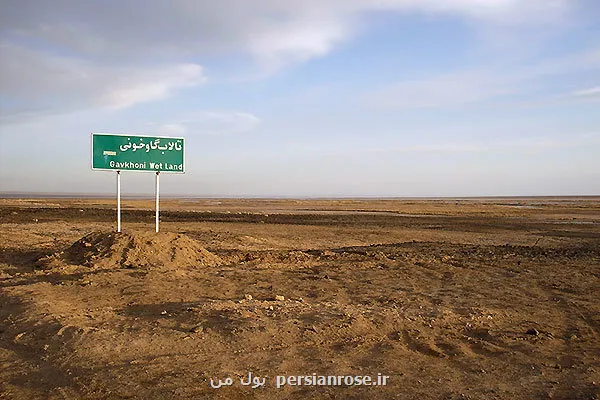 گاوخونی برای پایداری زیستی به ۸۰ میلیون مترمکعب آب نیاز دارد