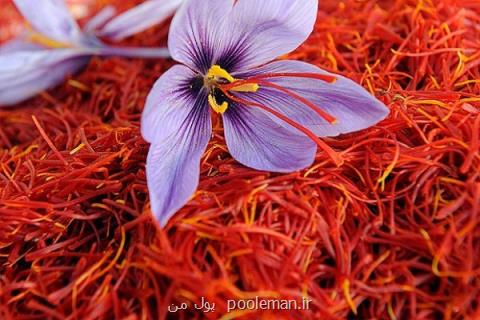 انعقاد ۱۱ هزار و ۹۰۰ قرارداد آتی زعفران رشته ای در بورس كالا