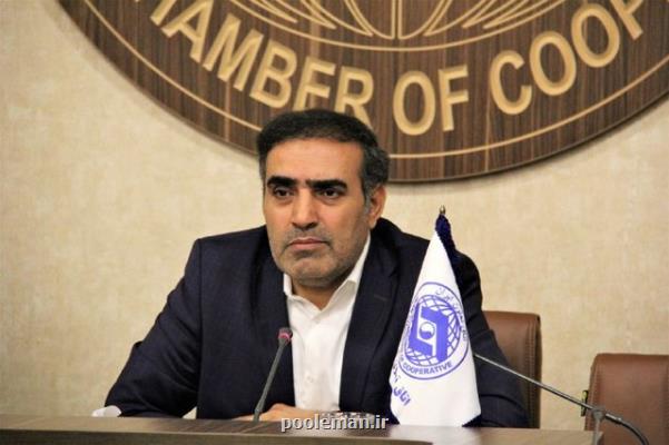 سهم تعاونیها از تسهیلات بانكی كمتر از ۱۰ درصد است